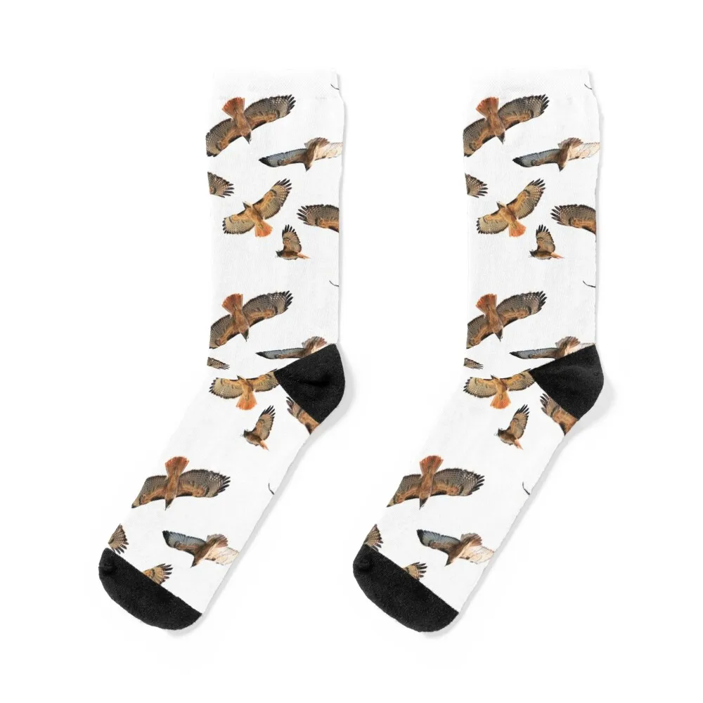 Red Tail Hawk Collage - Blank Background Socks shoes New year's funny gifts cool Socks Woman Men's