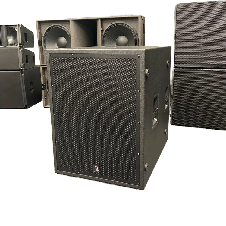 High-Performance Digital Audio Processors for Professional Sound Systems 21 Inch Active Neodymium DJ Subwoofer Amplifier Module