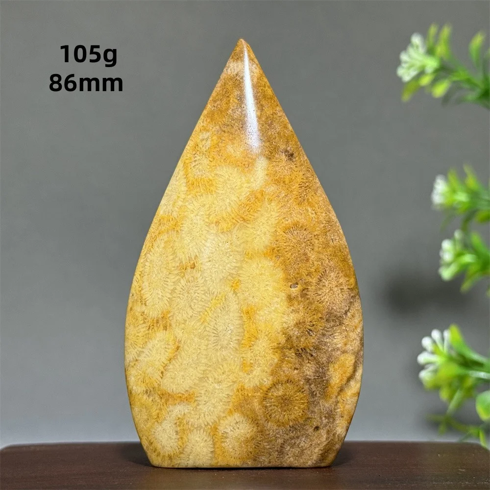 Natural High Quality Ccoral Jade Free Form Torch Home Aquarium Feng Shui Decoration Aura Healing Energy Gemstone