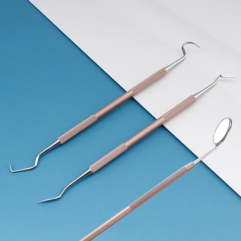 High Quality Stainless Steel Toothpick Set, Teeth Cleaning Tools, Oral Care Tools, Including Portable Gift Box, Dental Care Kit
