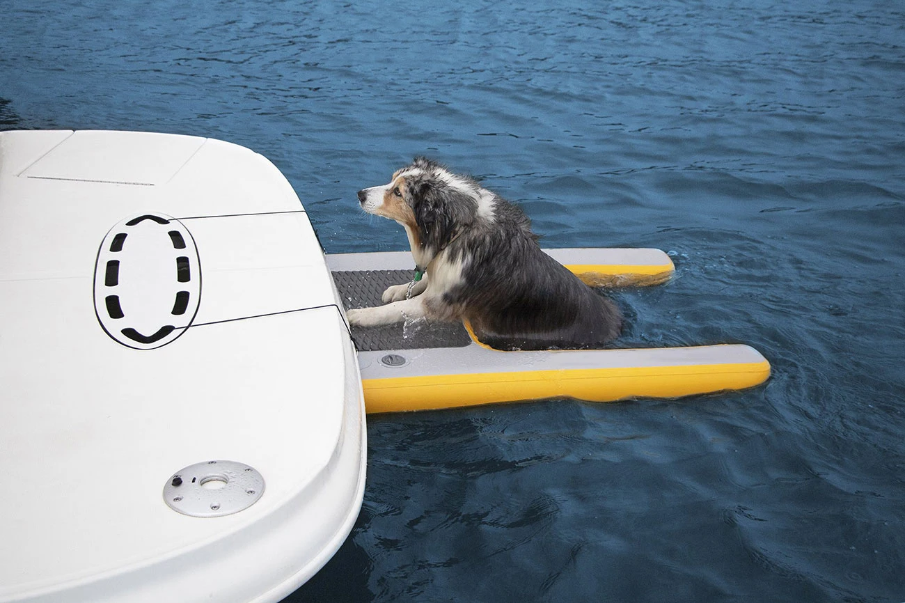 Rampa de agua inflable para perros, plataforma de rampa de escalada, escalera de barco para perros de PVC, punto de gota de alta calidad