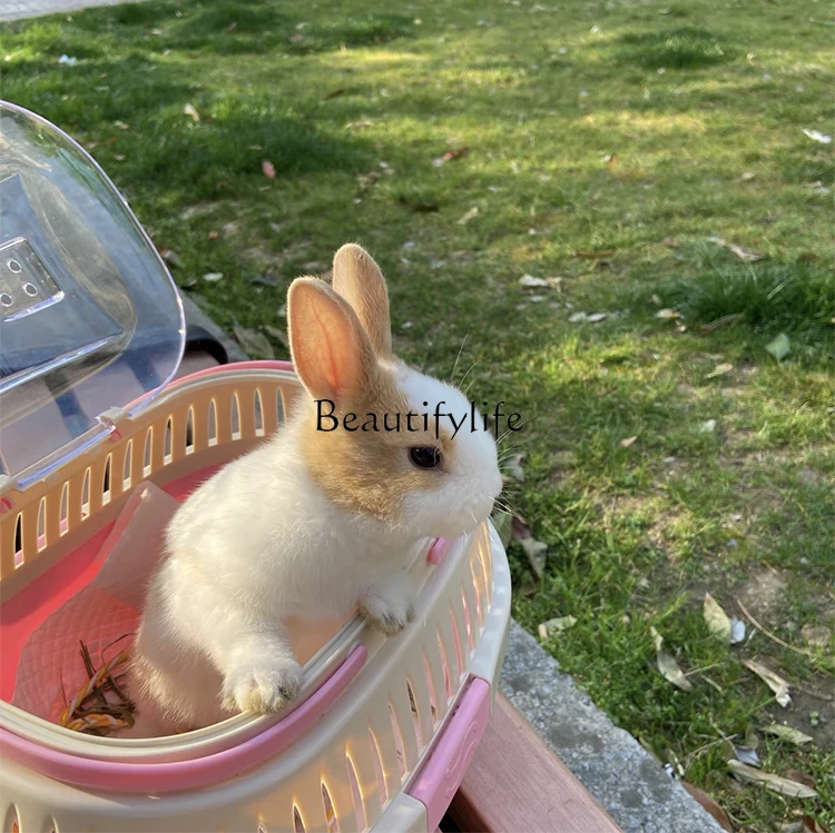 Rabbit Portable Cage Guinea Pig Cabas Small Pet Supplies