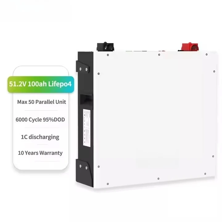 Dyness DL5.0C 51.2V 100AH Lifepo4 Battery 6000 Cycle 95%DoD 1C Discharging Wall Mounted Solar Battery for Home Energy Storage