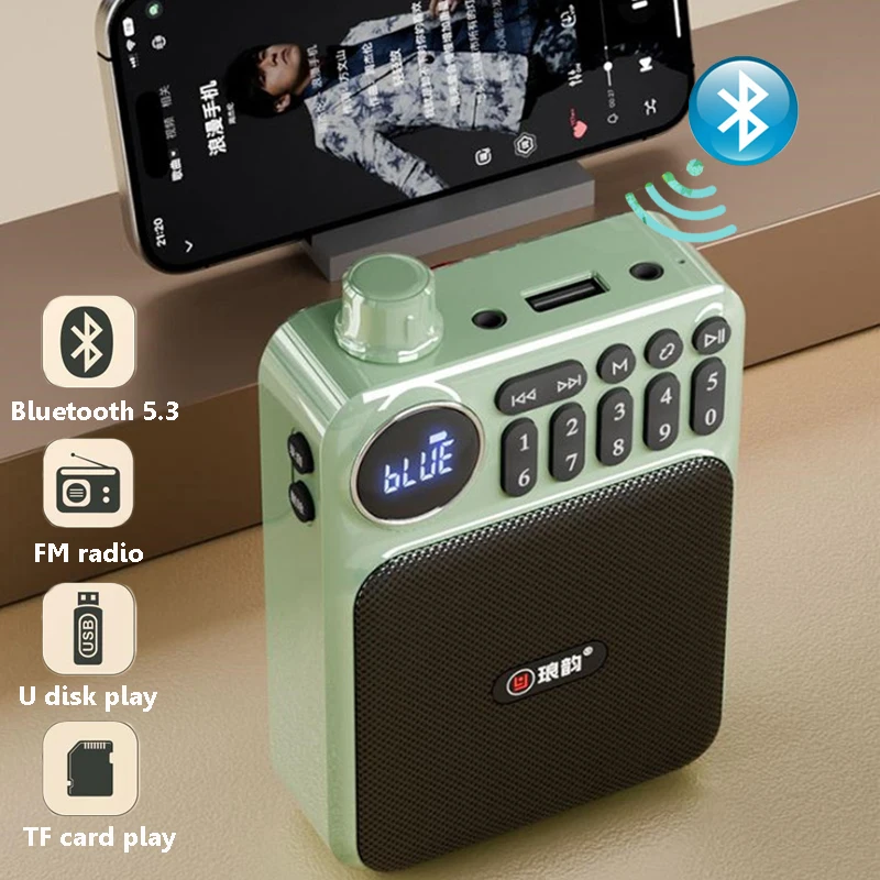 Mini Radio FM de poche, enregistreur numérique haute sensibilité, haut-parleur Bluetooth sans fil, lecteur de musique MP3 avec carte TF, Port USB