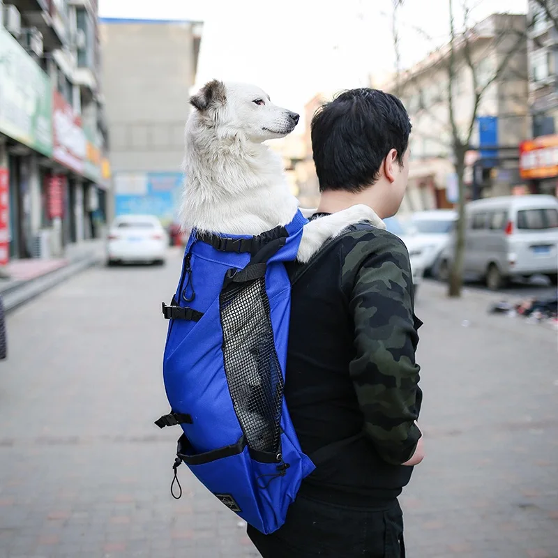 Backpack-Style Equipment for Carrying Items During Travel or While Driving, Specially Designed for Samoyed Dogs and Beagle Dogs - view 3