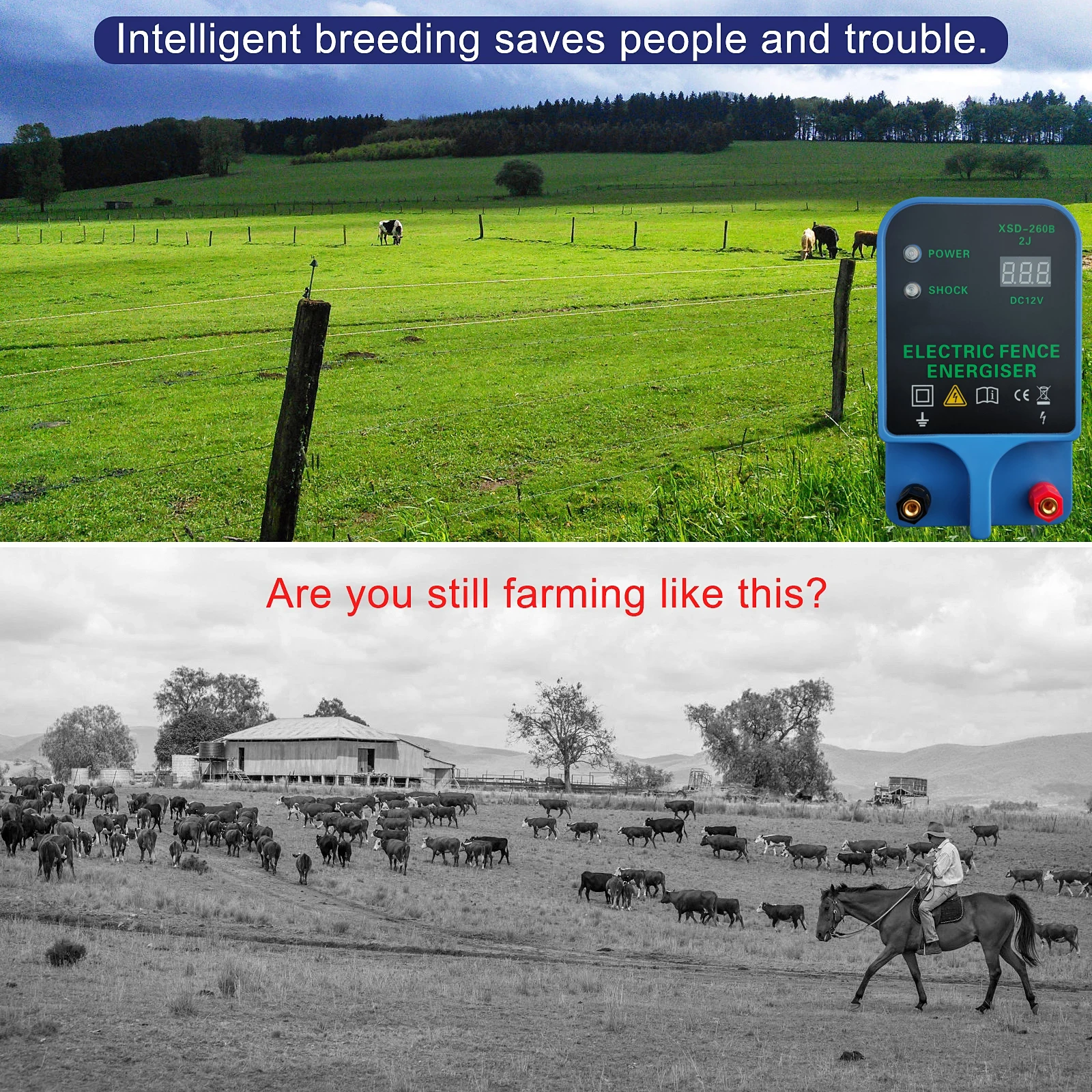 10KM Electric Fence Energizer for Farm Animal Controller for Sheep Cattle Horse Poultry Fence Preventing Wildlife Invasion