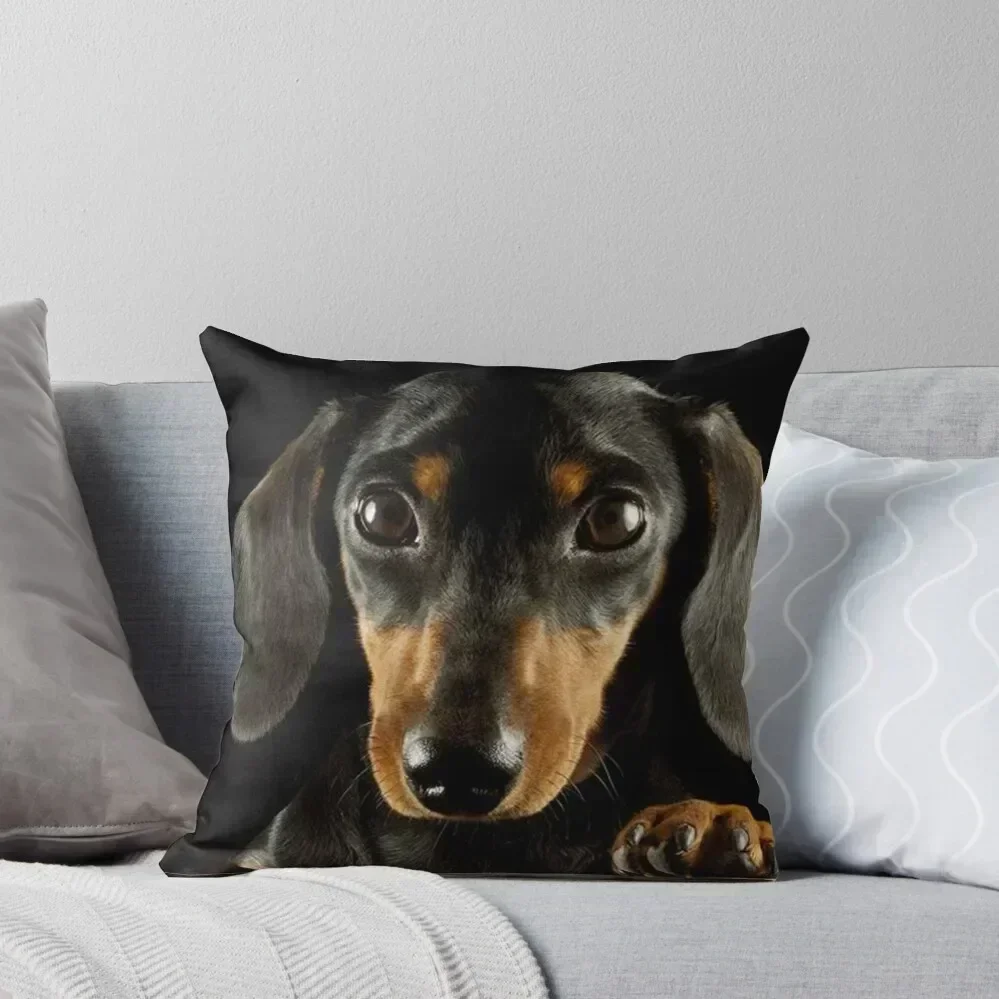 

Dachshund Dog photo portrait Throw Pillow Sofas Covers Rectangular Cushion Cover bed pillows pillow