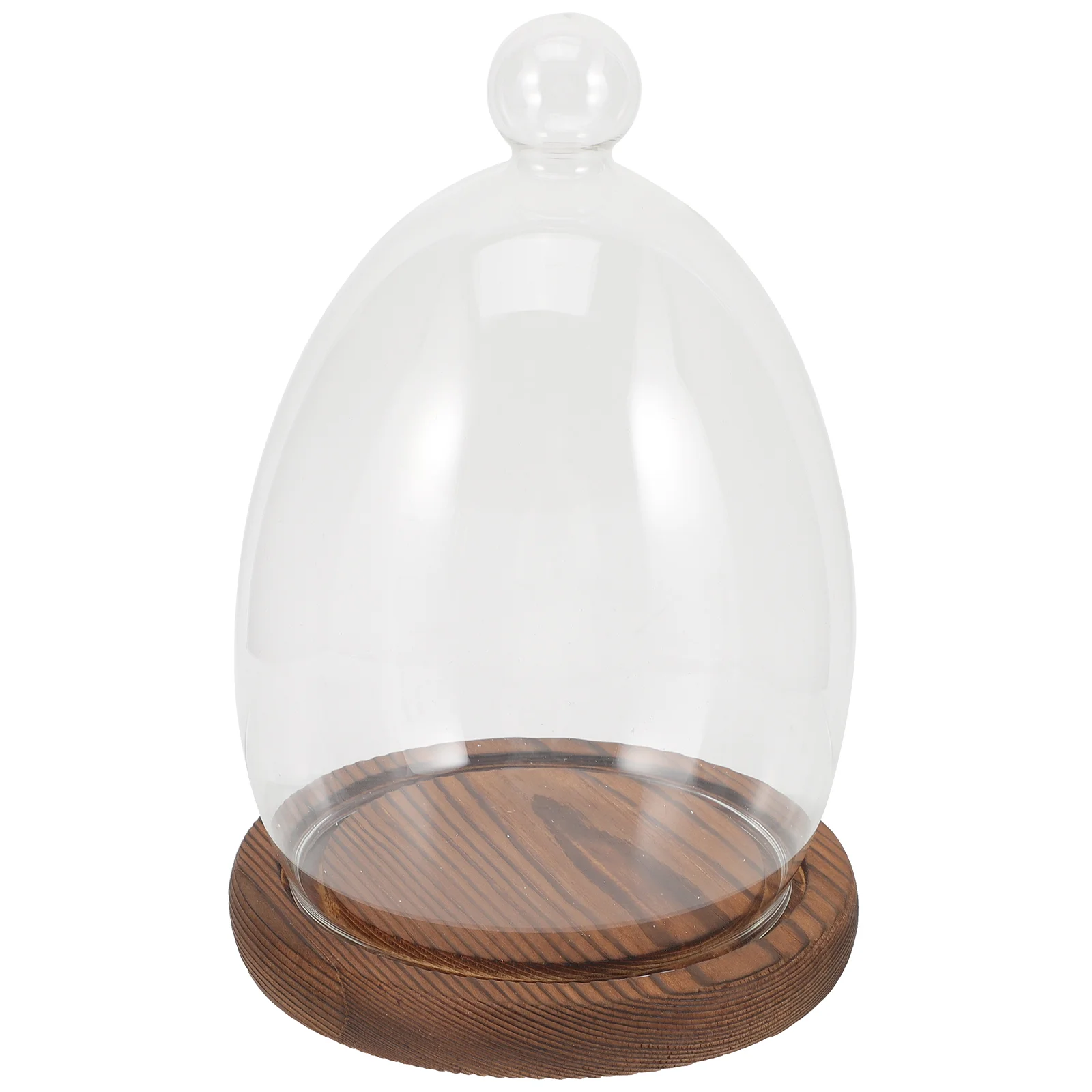 Egg Glass Cover with Wood Base Clear Dome Micro-landscape Vase Bell Jar Flower Dustproof Eternal Craft Desktop Decor Preserved