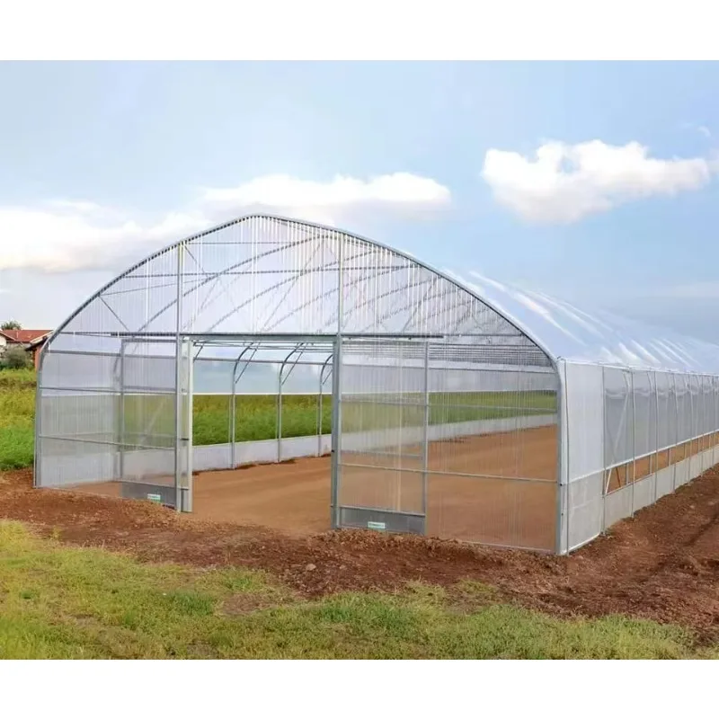 Wholesale Hot Sale Large High Tunnel Agriculture Greenhouse Tomato Vegetable Seed Planting Greenhouse