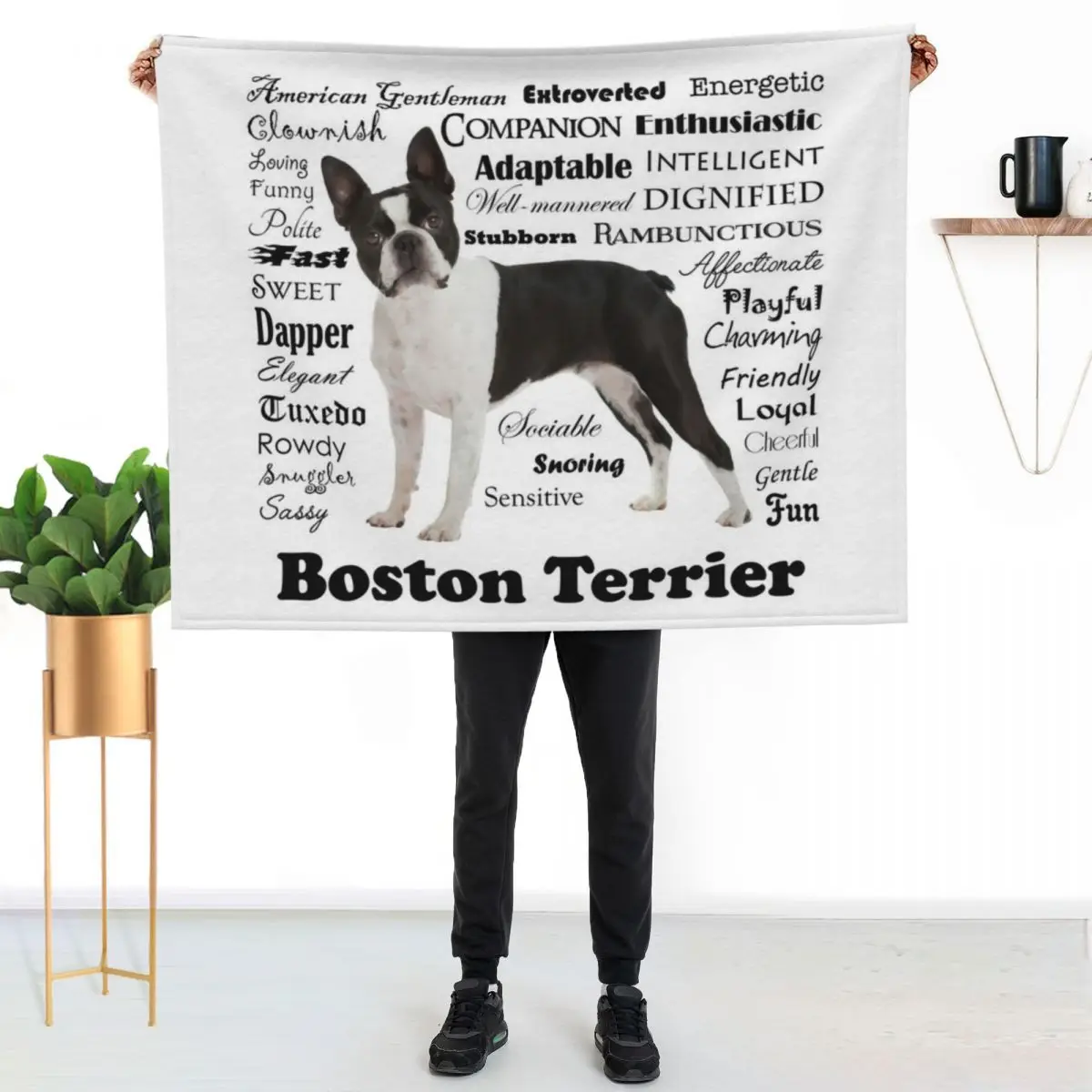 Boston Terrier Traits Throw Blanket Kid'S Winter beds Plaid Luxury Brand for winter Thins Blankets