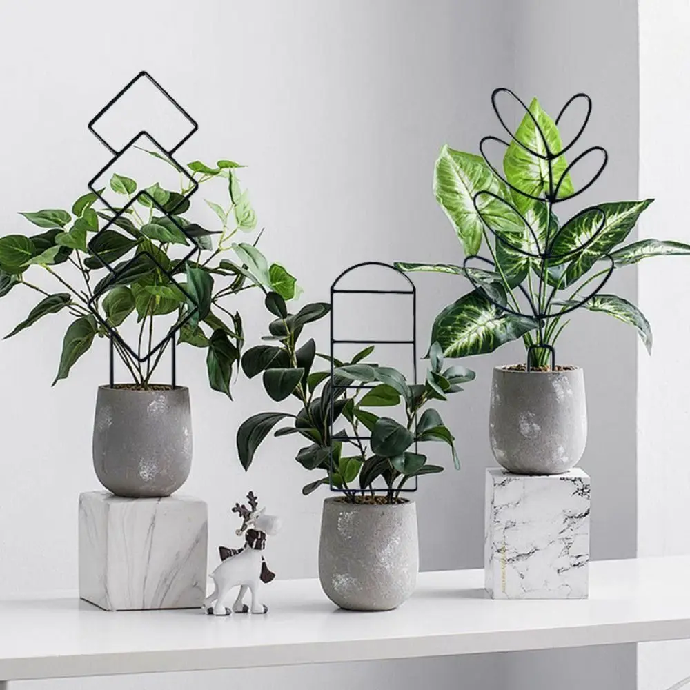 4 Different Shapes Climbing Plant Trellis Soil Insert Stakes Metal Wire Plant Support Stake Moisture-Proof Coating