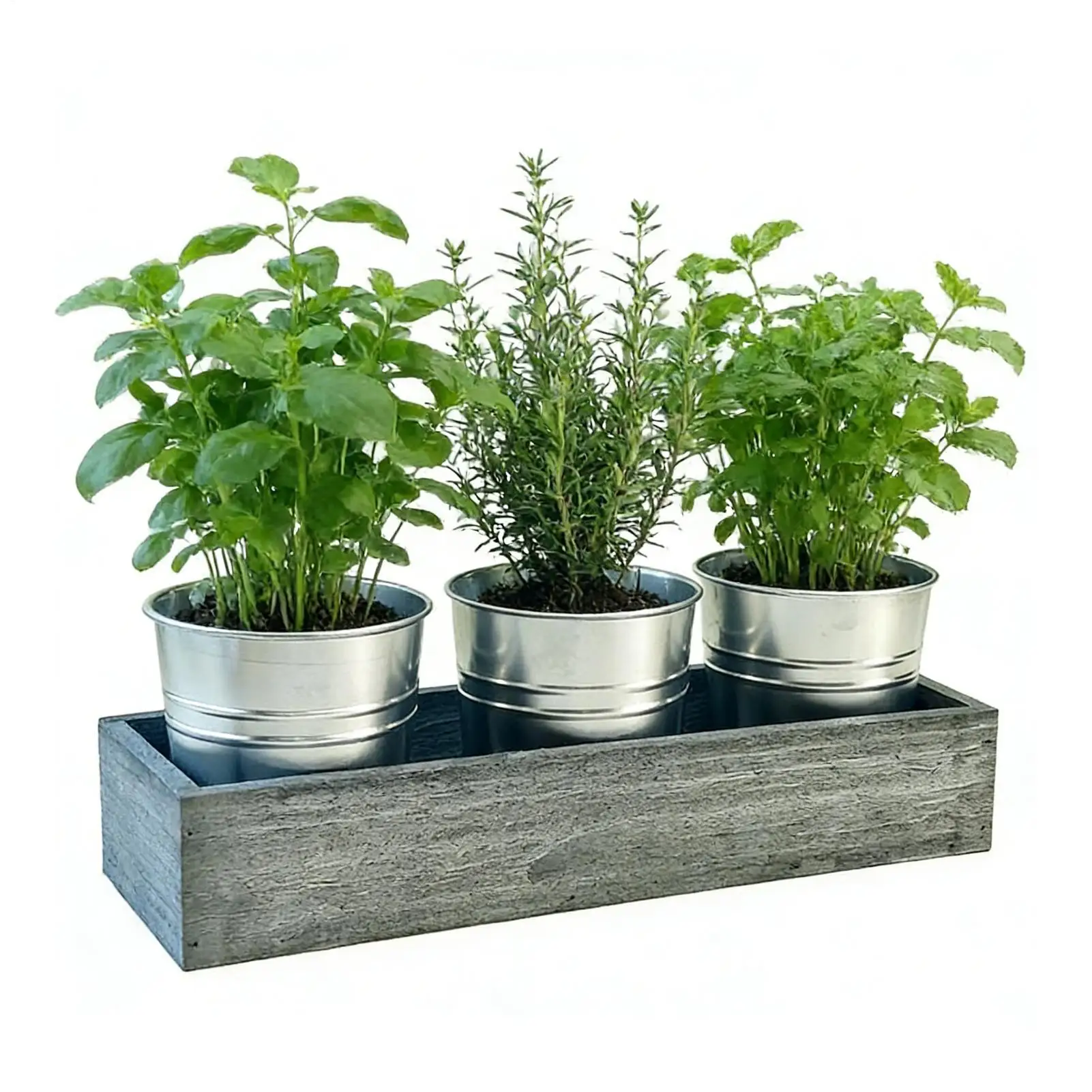 3-piece metal vanilla planting pot desktop flower box decor s ucculent plant set creative house pot flower pot flower bucket