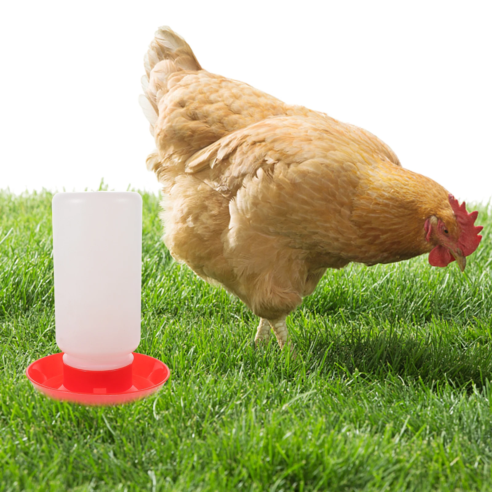 

Thickened Water Drinker Chicken Jar Automatic Feeder Plastic Bucket Detachable Smooth Clean Chickens Pigeons Birds Quail