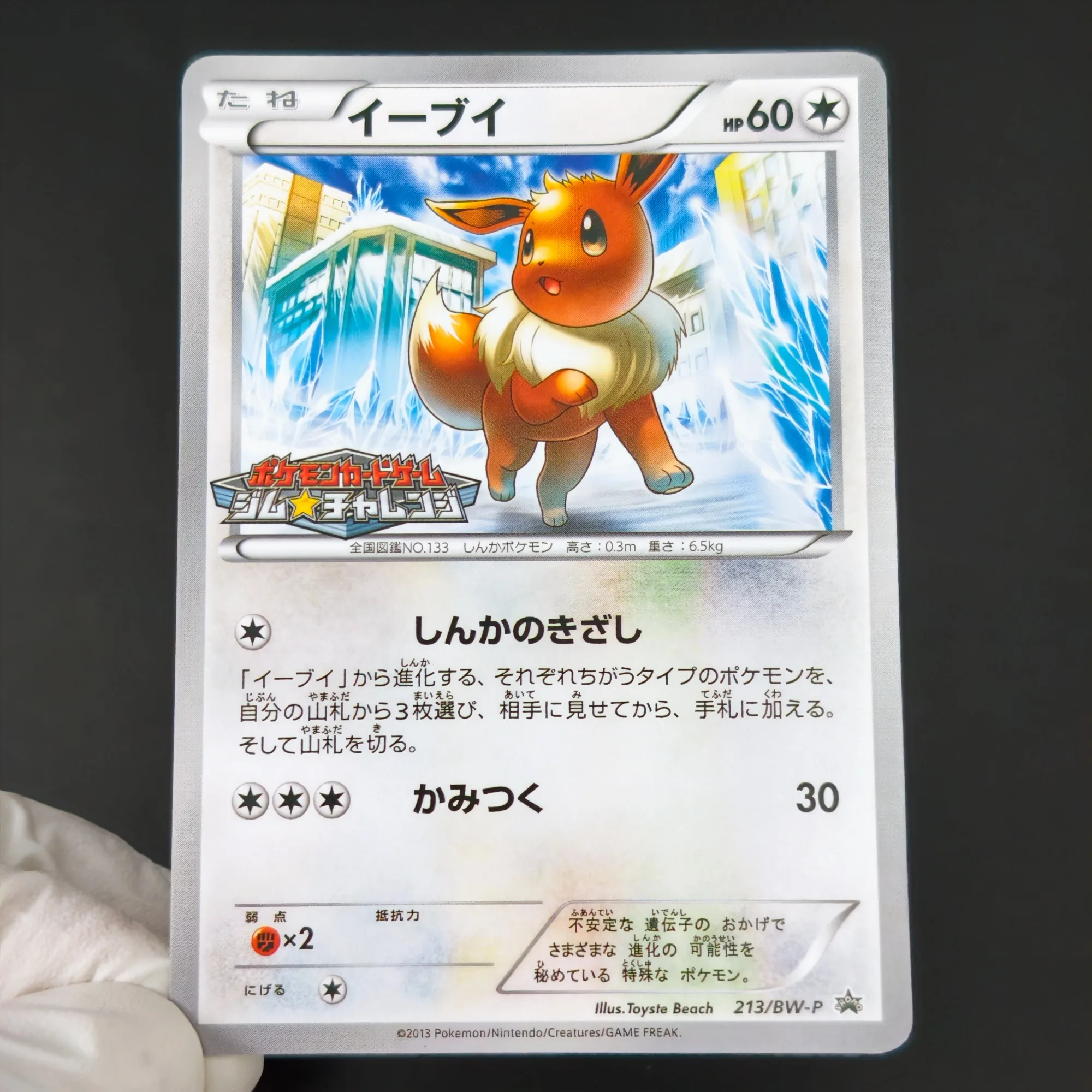 Proxy PTCG Card Eeveelutions Pokemon BW-P Series Cards Eevee Leafeon Glaceon Flareon Espeon Jolteon DIY Self Made Single Card