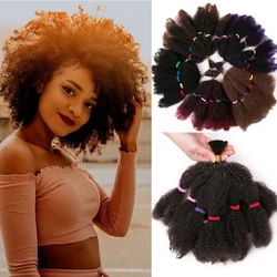 VERVES Crochet Hair Curly Extensions Synthetic 12 Inch Ombre Braiding Hair Afro Kinky Bulk Twist Braids Blonde Bundles Bug Black