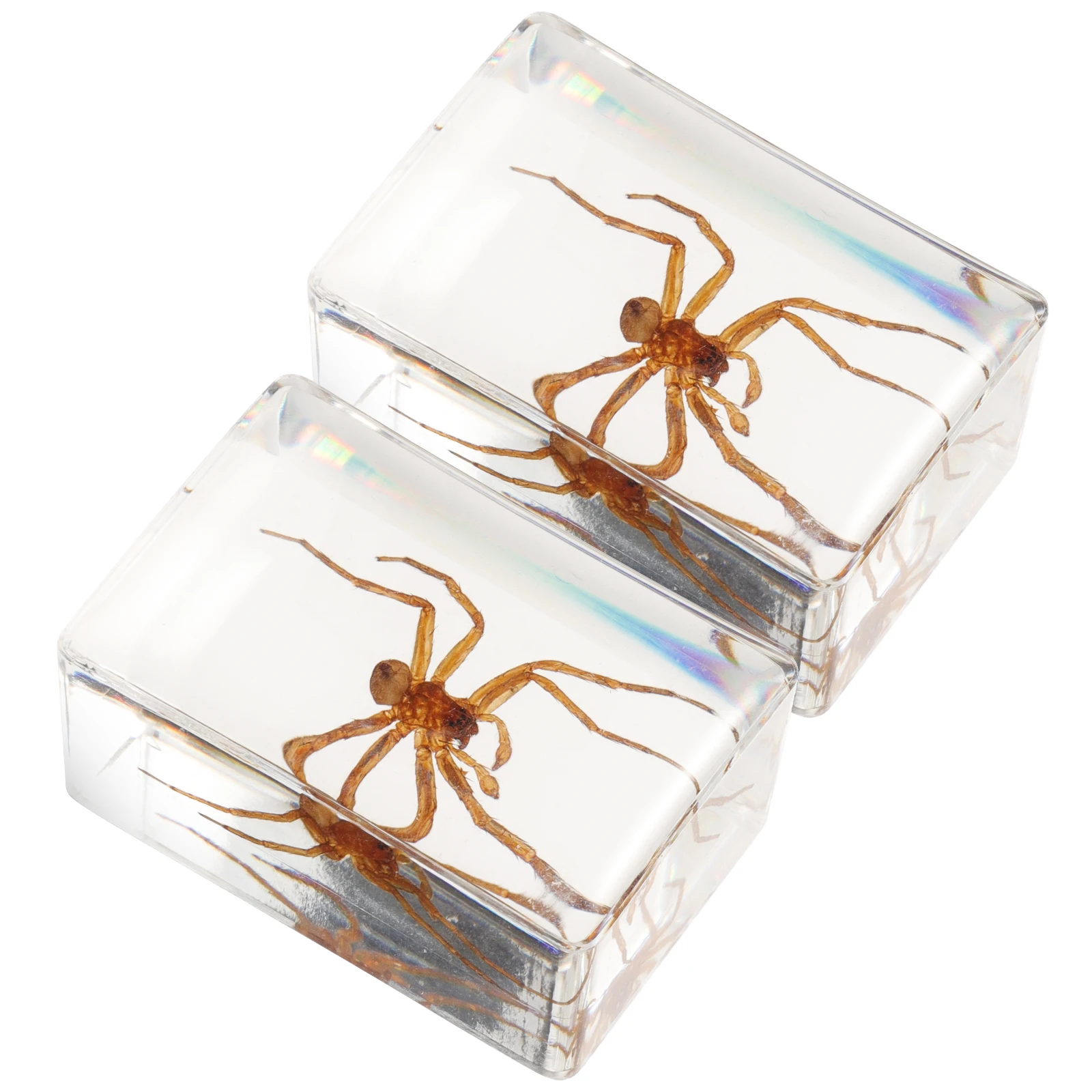 

2Pcs Insect in Resin Unique Transparent Spider Specimens Decor Home Table Desktop Display Craft Gardening Tools