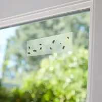 10/20PCS  Insect Trap Transparent Window Fly Catcher Fly Sticker Insect Trap Fly Stick Glass Fly Paper Sticker