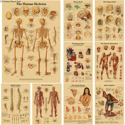 The Body Structure Retro Poster Anatomy and Physiology Kraft Paper Skeleton Posters Home Medical Room Decor Art Wall Painting