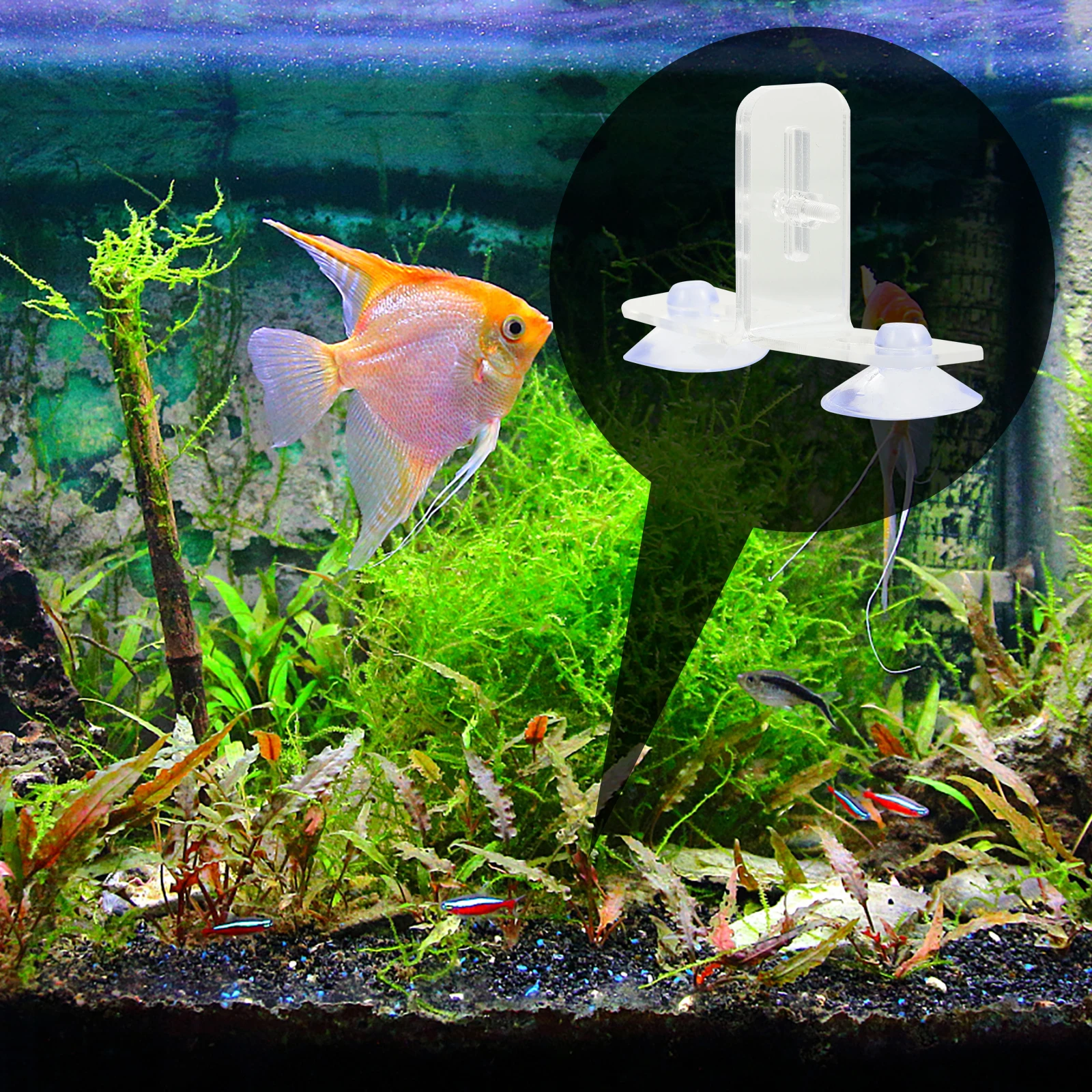 

4 Sets Fish Tank Divider Clear Transparent Acrylic Partition Board Clips Suction Cups Multi-Round Hole Pet Supplies Aquarium