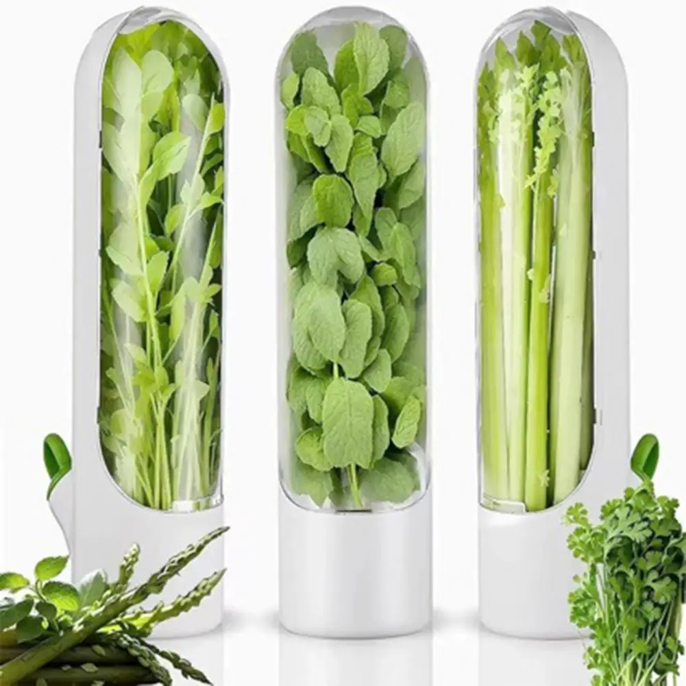 Refrigerator Cilantro Organizer Cilantro Herb Storage Box with Adjustable Vents Lid Refrigerator for Parsley for Refrigerator