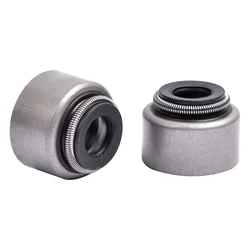2pc 5mm Motorbike Engine Intake & Exhaust Valve Stem Oil Seal For Yamaha TT-R250 TTR250 TTR 250 1993-2002 Racing Street bike