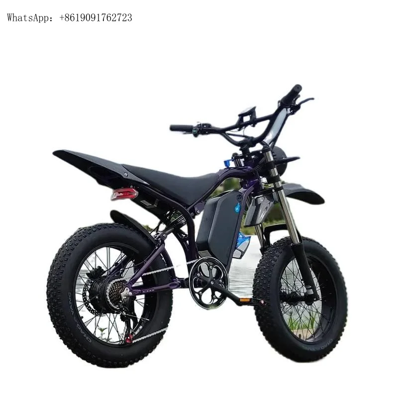 

New 20-inch snow fat tire off-road motorcycle for electric vehicle private model