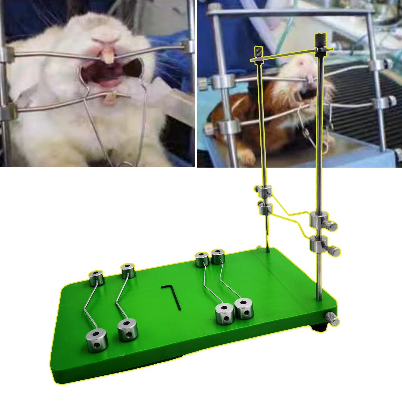 Dog Bracycephalic Surgery Restriction System with Tabletop Mouth Gag Rodent Opener for Veterinary Procedures