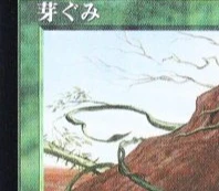 밝은 녹색