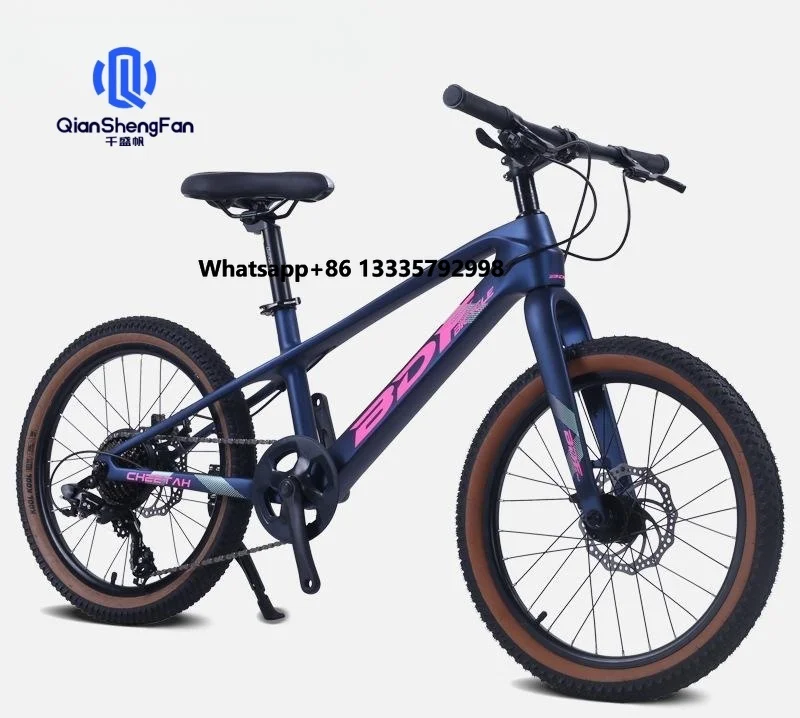 

High-End 20/22-Inch Carbon Fiber Mountain Bike with Variable Speed Disc Brake Ordinary Pedal; Steel Fork Material