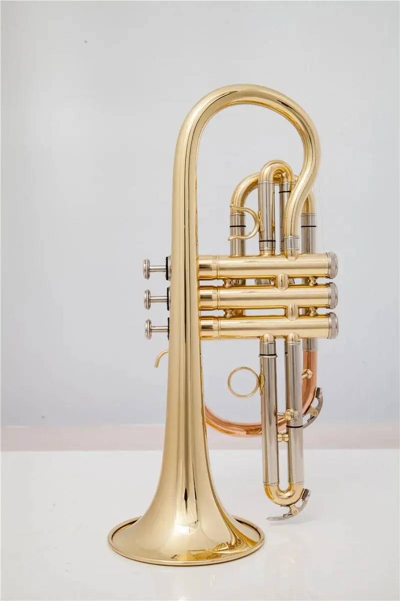 Kualitas Tinggi  CR-310 Bb Cornet Kuningan Terompet Instrumen Musik Internasional dengan Kasus Gratis Pengiriman