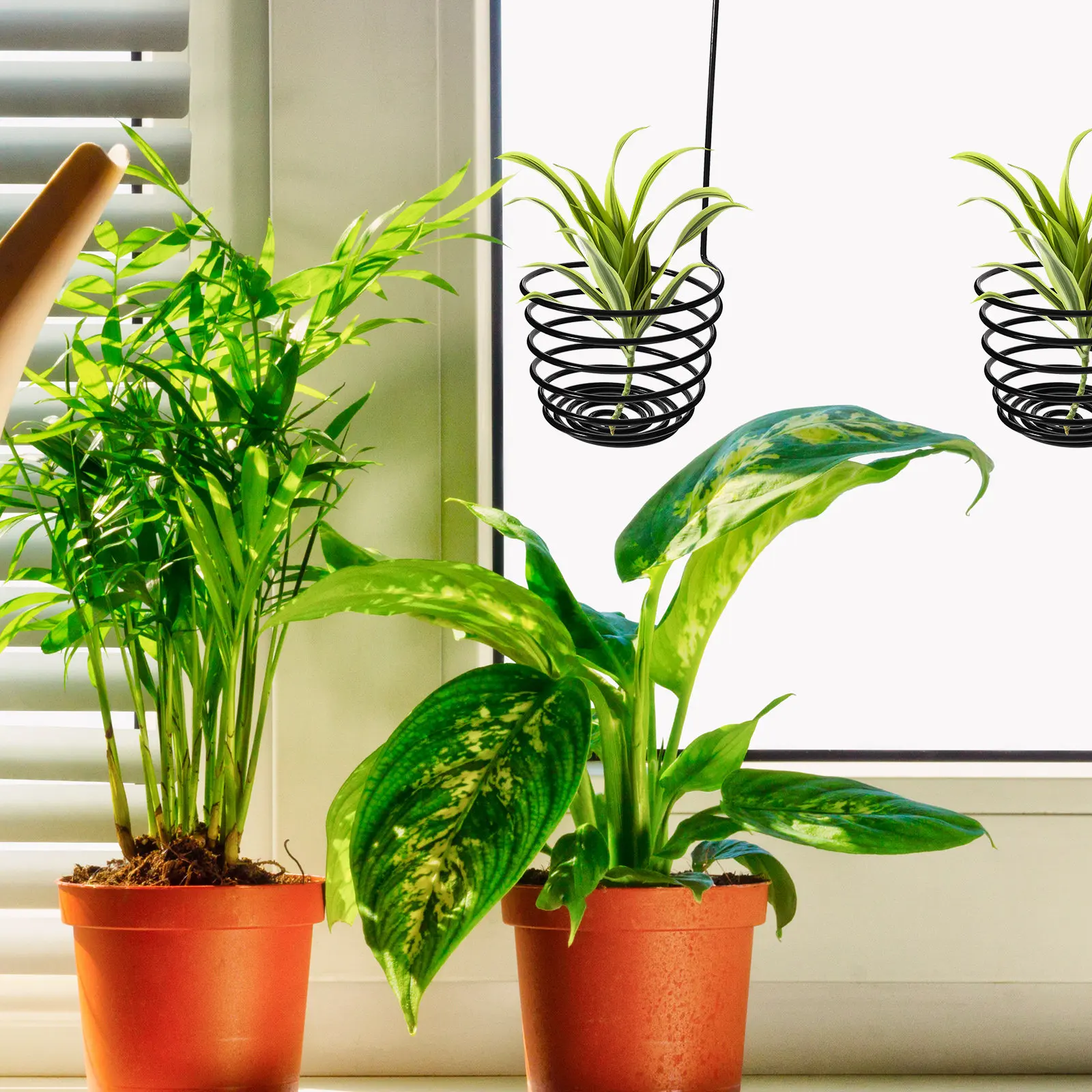 2 Ganchos de Hierro en Espiral para Plantas Aéreas, Soporte Metálico Resistente para Tillandsias, Exhibidor Colgante para Helechos Aéreos, Decoración de Pared