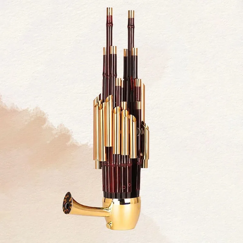 17 Springs Sheng D Key Beginners Professional Performance Sheng Chinese Nation Playing Shengs Folk Tradition Musical Instruments