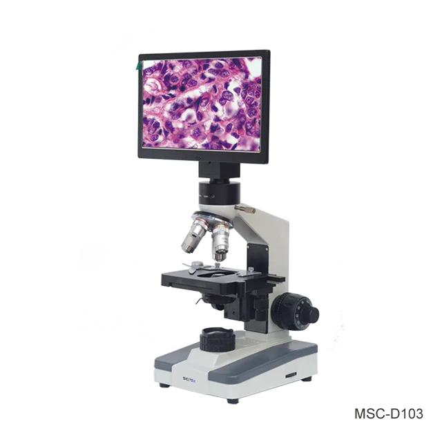 Digital Microscope Finite Distance Optical System 10-inch Display Screen Viewing Head Double Mechanical Stage for Lab