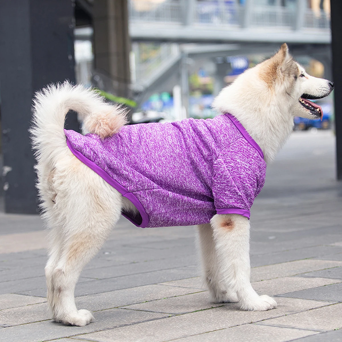 Sudaderas para perros medianos y grandes, ropa de otoño e invierno, suministros para mascotas, Golden Satsuma Huskies Border Collies