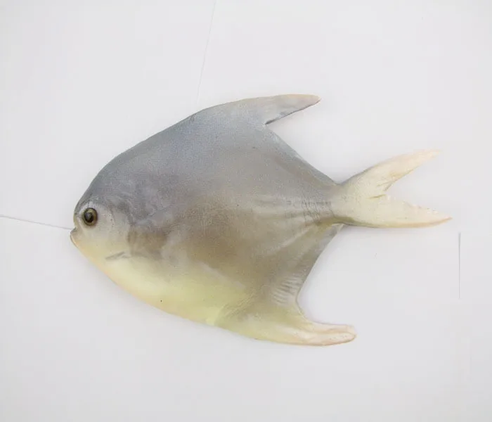 Simulierte Fisch modell künstliche Karausche Figur Fisch Dekoration Ornament Kinder Tier lernen Spielzeug Geschenke dekorative Requisiten – Detail 9