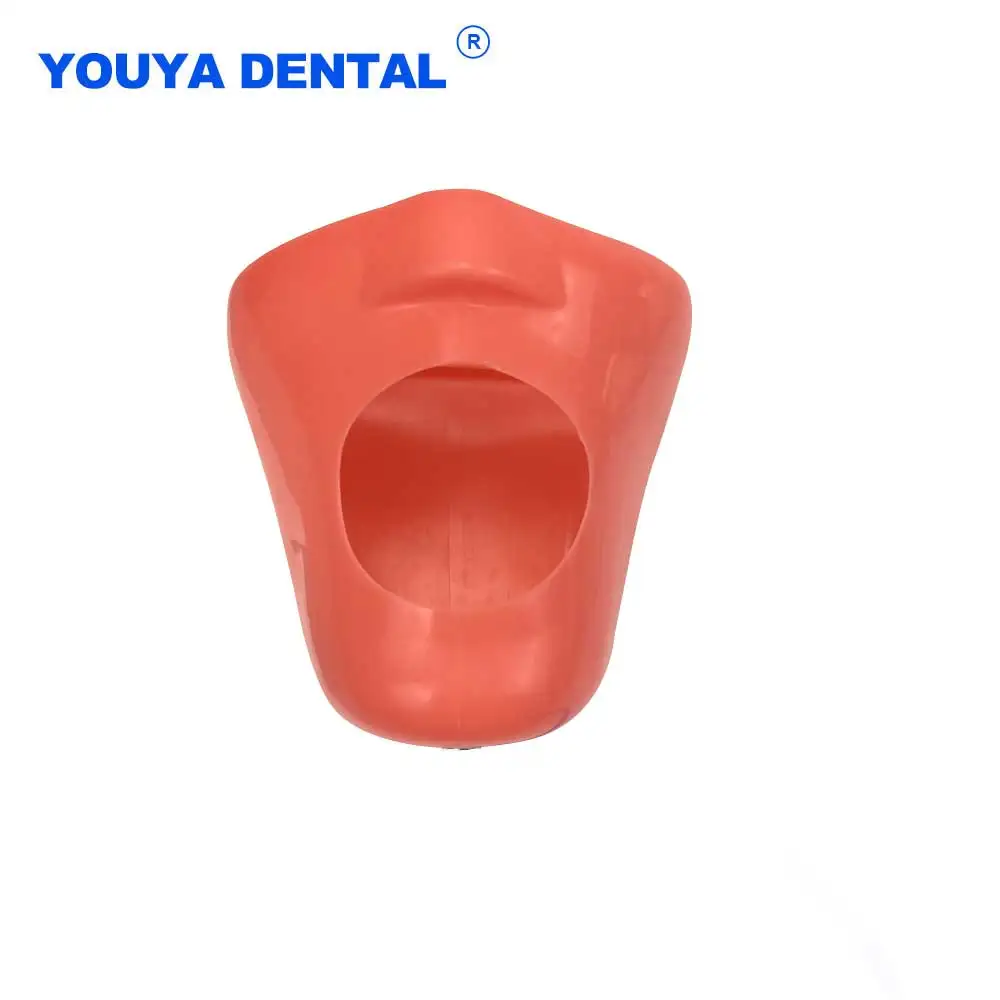 

Dental Model Mask only Mask