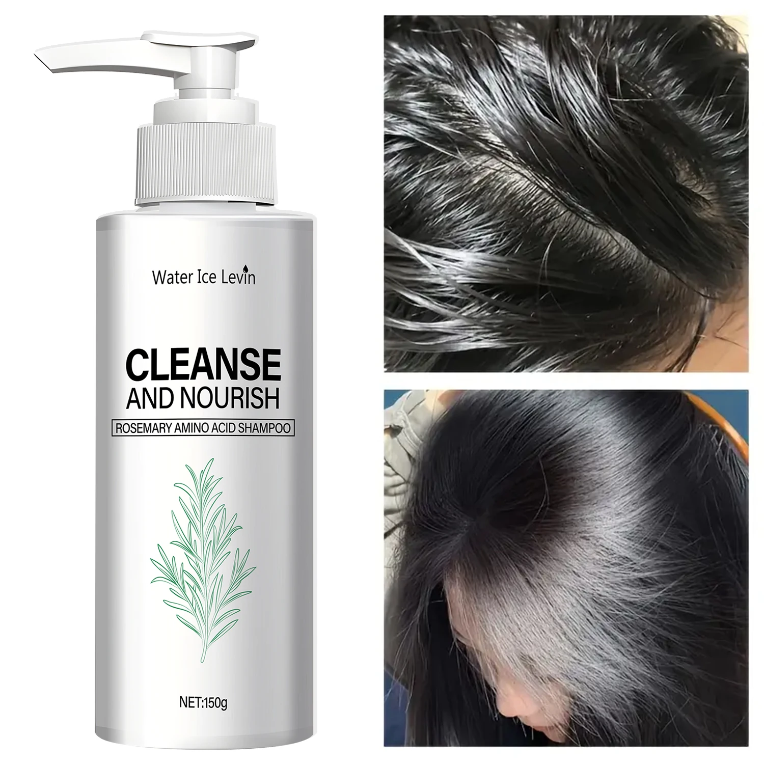 

Rosemary Amino Acid Shampoo - Cleanses & Nourishes with Ginger Root Extract for Soft, Shiny Hair