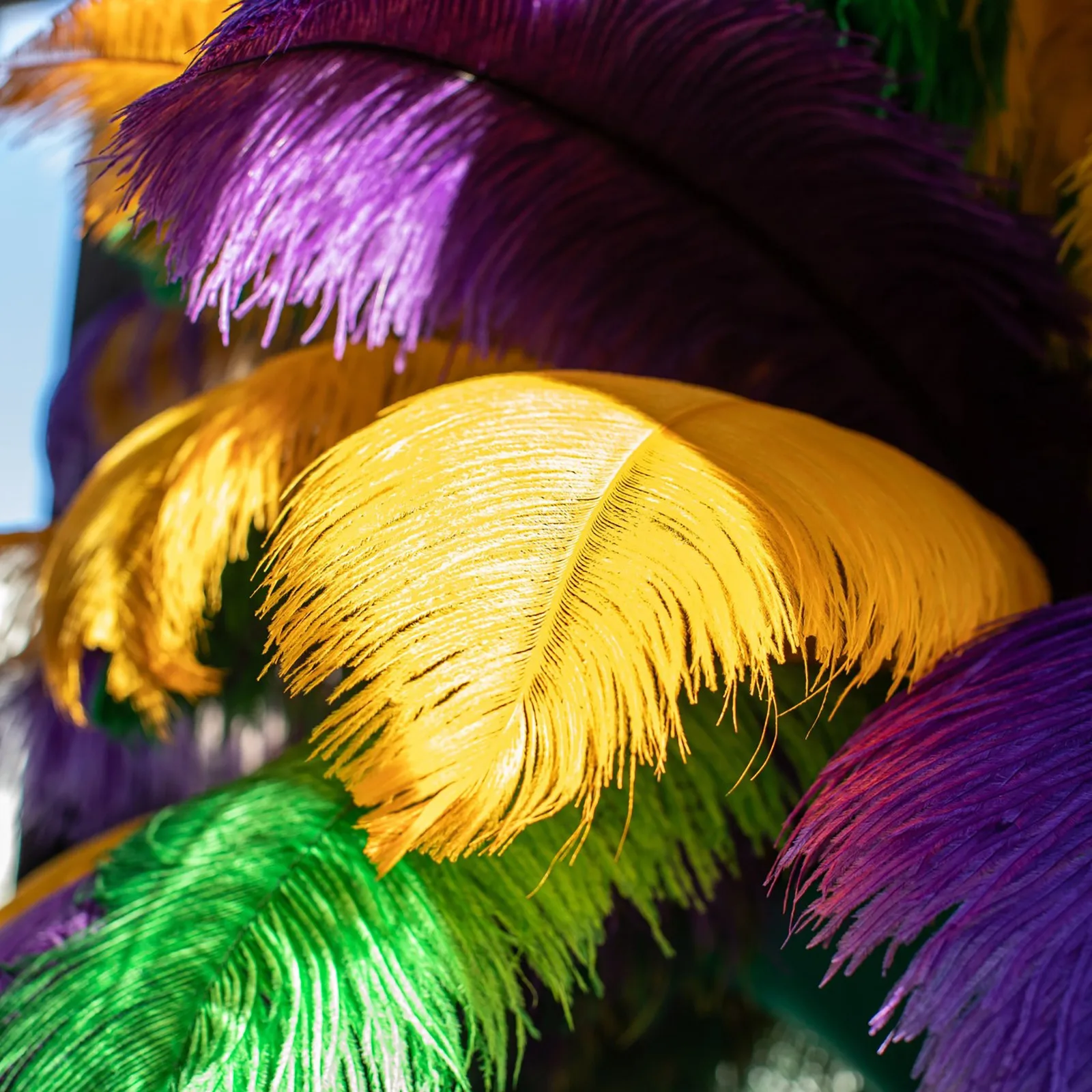 18 Stück Karneval-Federn – 7,8–10 Zoll grüne, goldene und violette Federn für Heimwerkerarbeiten, Karnevalskostüme und Karnevals-Partydekorationen