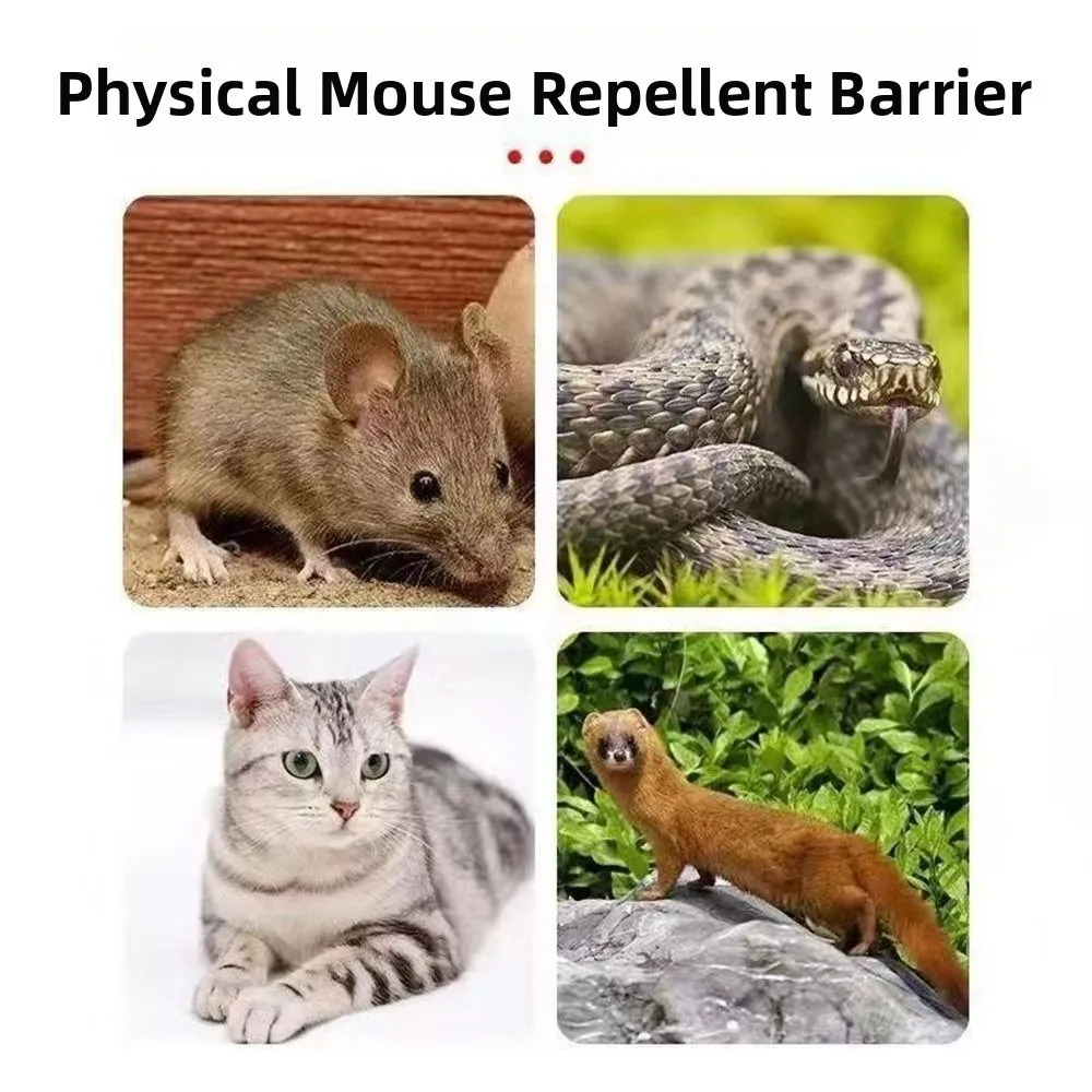 

Шипы для птиц из нержавеющей стали 0,5/1 м, гибкие гибкие шипы против голубя, защита от укусов, защита от ржавчины, средство для отпугивания белки, сад