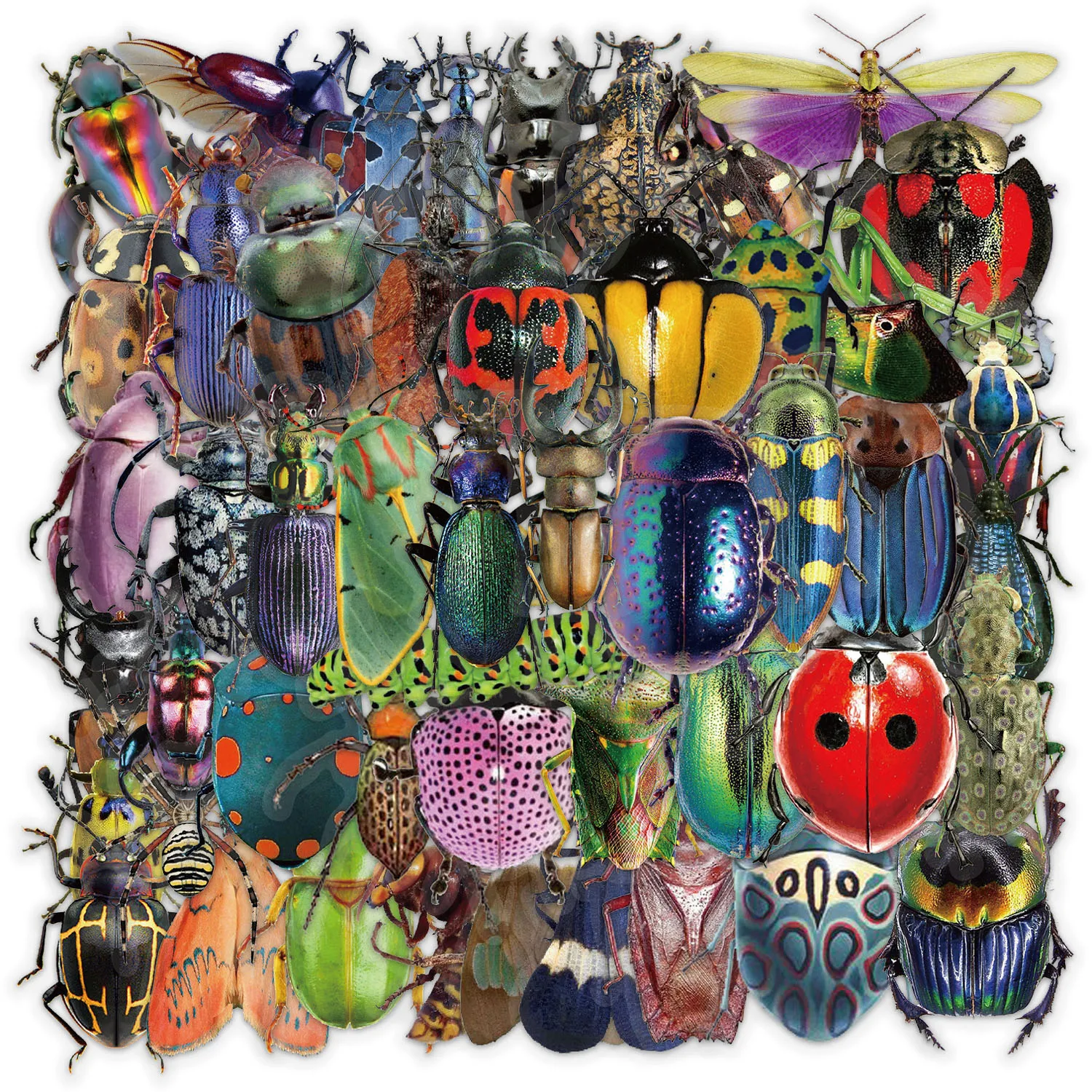 

50PCS Insect Stickers Fun Stickers DIY Phone Case Laptop Water Cup Computer Toy Stickers