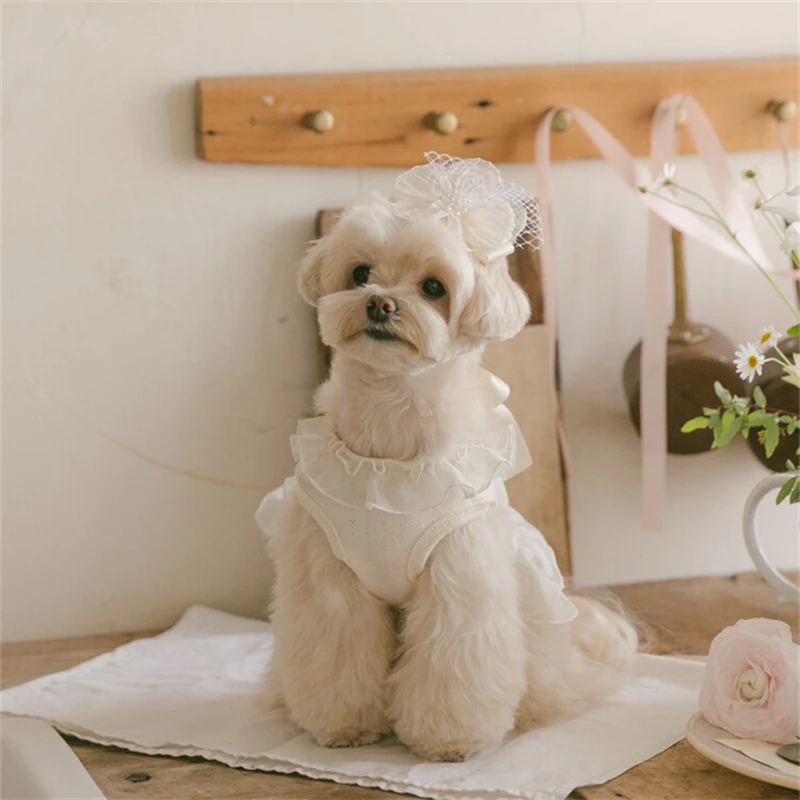 

Organza Dog Tutu Dress Lace Ruffle Princess Dog Dress for Small Dogs Girl Shih Tzu Yorkie Clothes