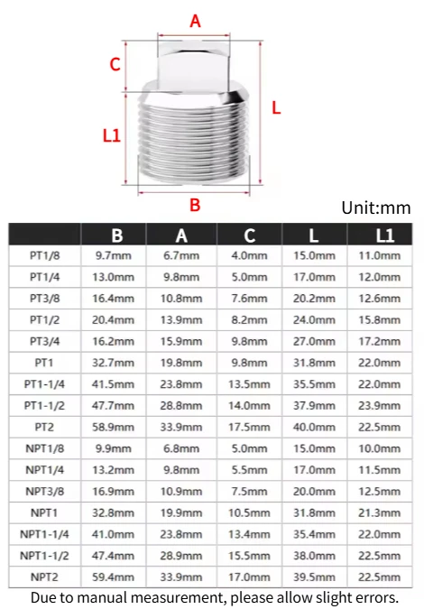 1/8 1/4 3/8 1/2 3/4 1 1-1/4 2 304 Stainless Steel Solid Male Thread Square End Plug Cap Pipe Fitting For Oil/Water Pipe Fitting