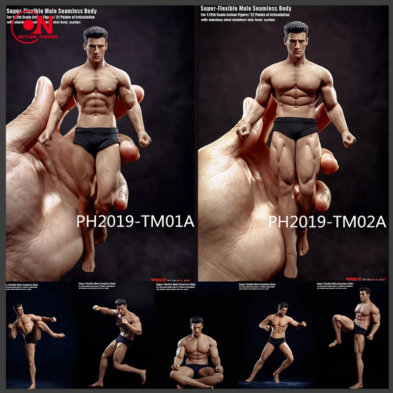 TBLeague corpo sem costura com cabeça Sculpt, Super flexível Action Figure Model, macho bronzeado, PH2019-TM01A, TM02A, 6 ", 1, 12 Escala