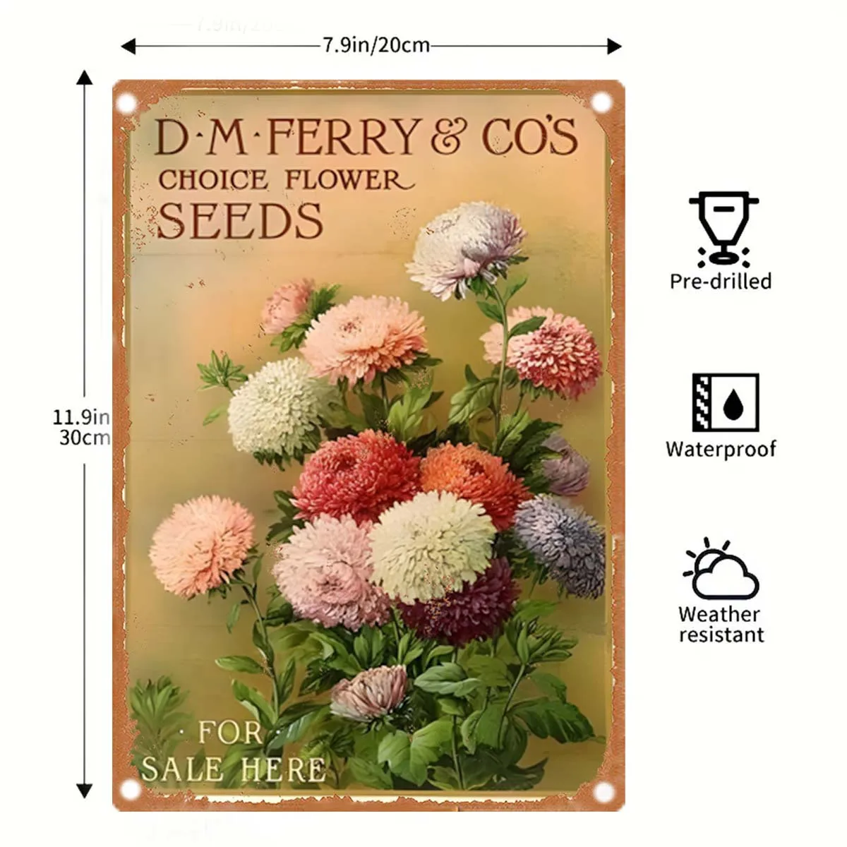 Vintage Metal Sign by D.M. Ferry & Co., Measuring 8 by 12 Inches, Featuring a Rustic Floral Design with Chrysanthemums