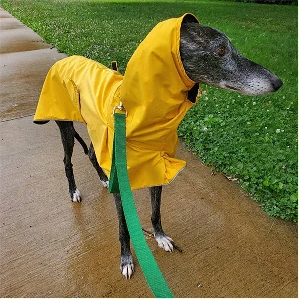 Italian Greyhound Clothes Waterproof Whippet Coat Winter Adjustable Greyhound Clothes Winter Warm Fleece Clothes Dog Warm Jacket