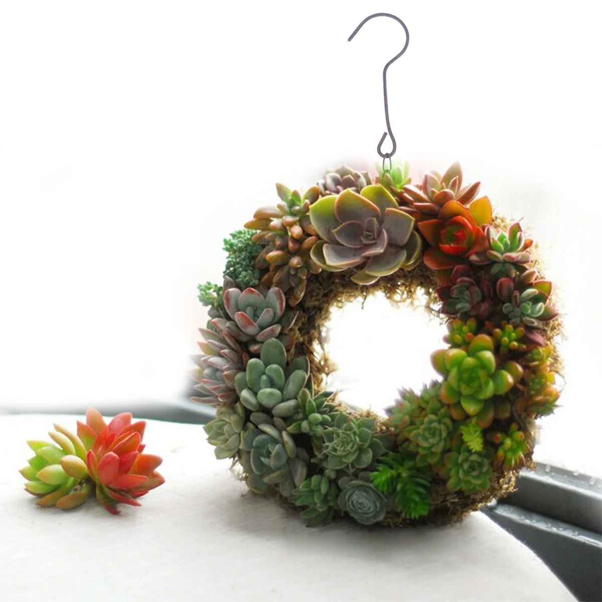 

2 pcs Multisucculent Wreath Hanger Hand Knitted Eco-Friendly Material For Home Store Garden Decor Round Medium Size Plant