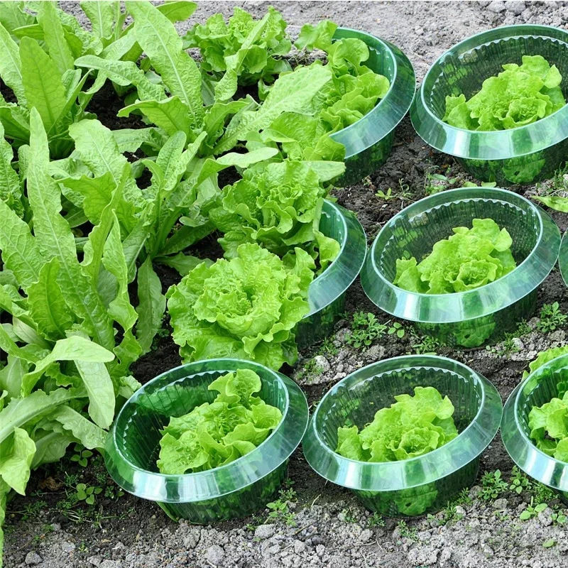 Reusable Vegetables Protection Covers Garden Plant Snail Slug Protection Collars Agricultural Save Water Guard for Flowers