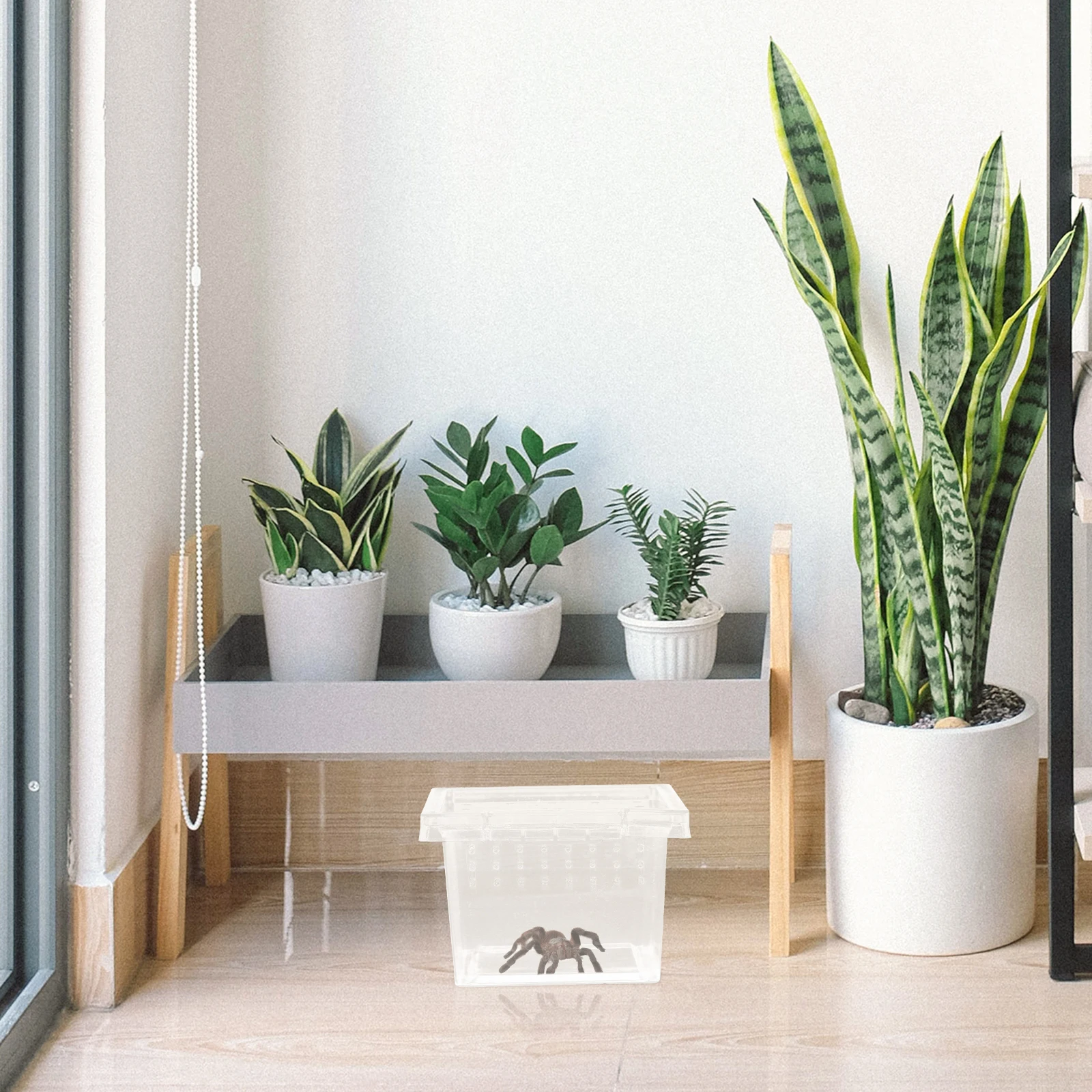 

Clear Insect Rearing Box for Reptiles Lightweight Ventilated Pet Display Container Portable Reptile Breeding Habitat Cage Lizard