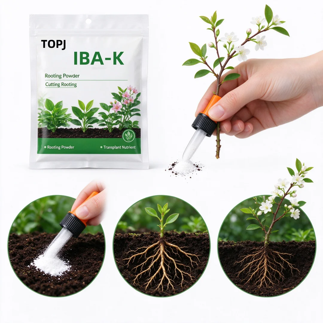 TOPJ IBA-K Rooting Nutrient Powder, Indole Butyric Acid Potassium Water Soluble Fertilizer for Flower Cutting & Transplant Root