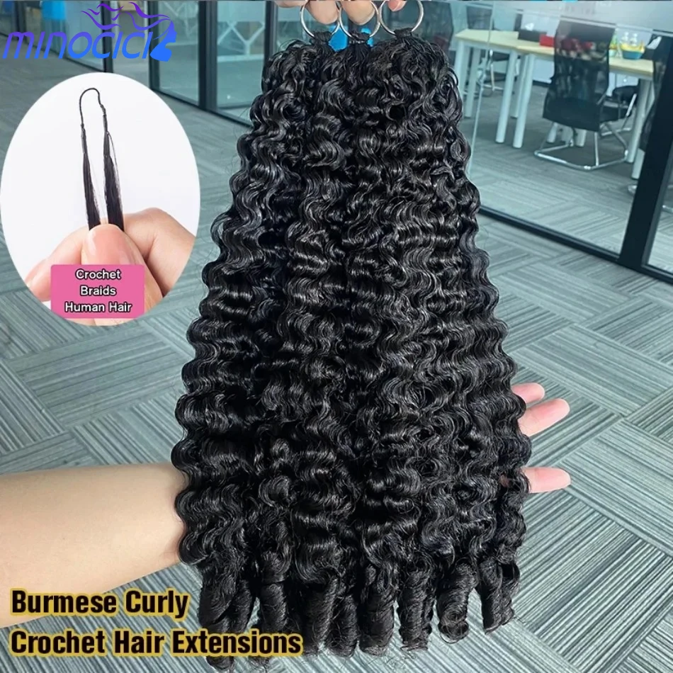 Burmese Curly Croch…